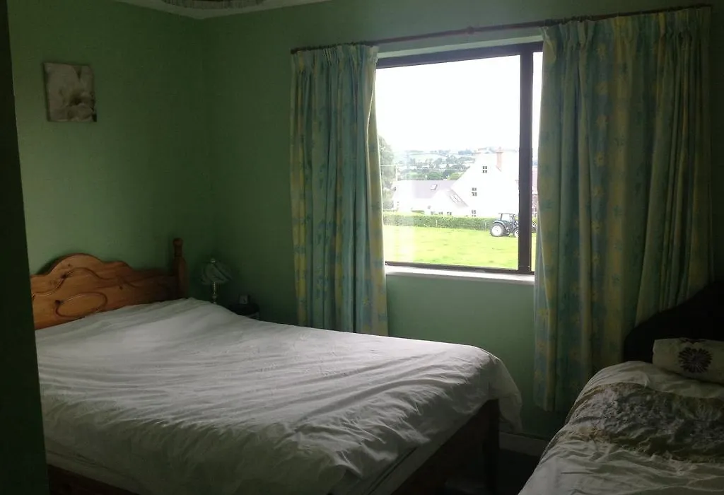 Hill View B&B Silvermines Buget Accomodation-1
